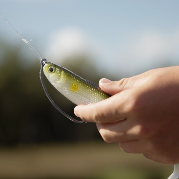 PRO LURE FISHTAIL – New Age Fishing
